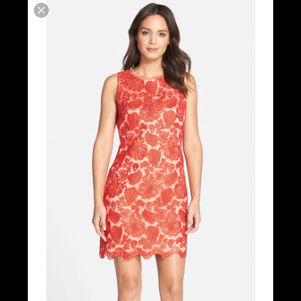 Vince Camuto Gorgeous Lace size 4 Dress